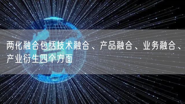 两化融合包括技术融合、产品融合、业务融合、产业衍生四个方面(10)