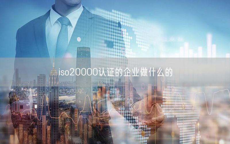 iso20000认证的企业做什么的(30)