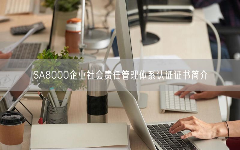 SA8000企业社会责任管理体系认证证书简介(0)