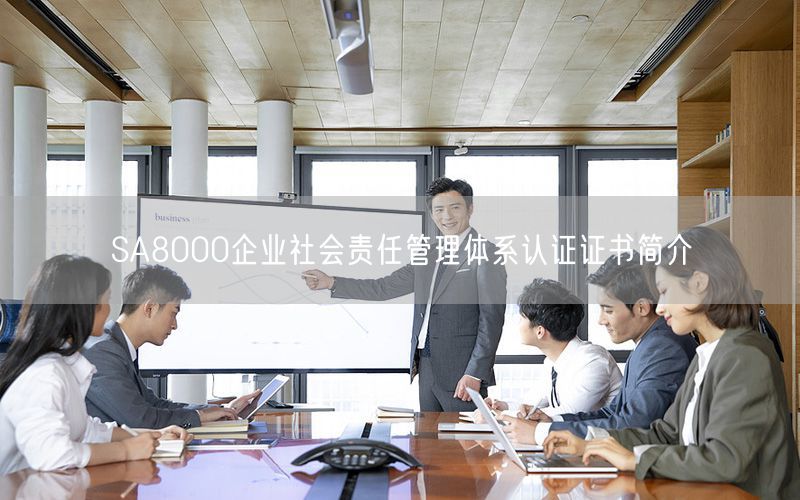 SA8000企业社会责任管理体系认证证书简介(3)