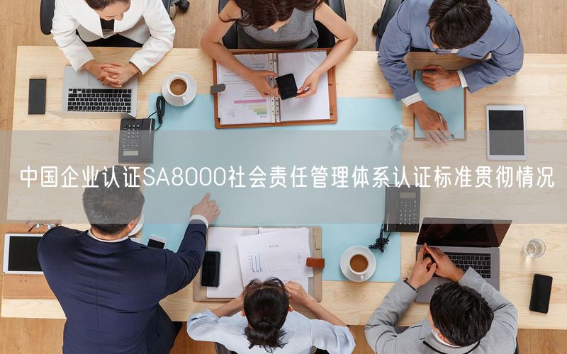 中国企业认证SA8000社会责任管理体系认证标准贯彻情况(0)