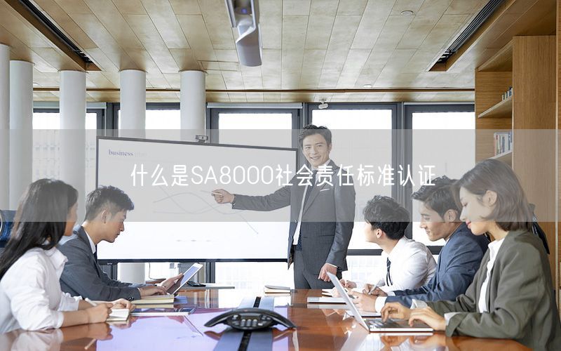 什么是SA8000社会责任标准认证(0)