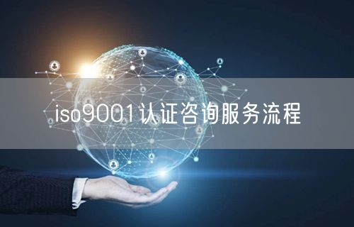 iso9001认证咨询服务流程(14)