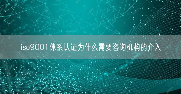 iso9001体系认证为什么需要咨询机构的介入(10)