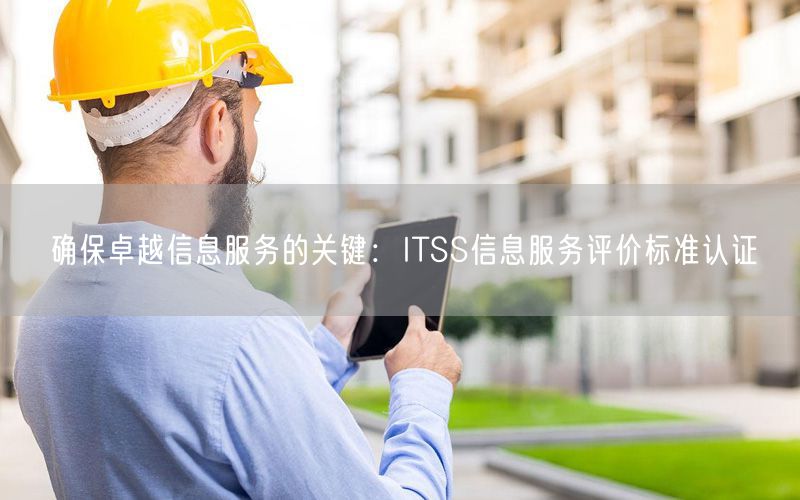 确保卓越信息服务的关键：ITSS信息服务评价标准认证(15)