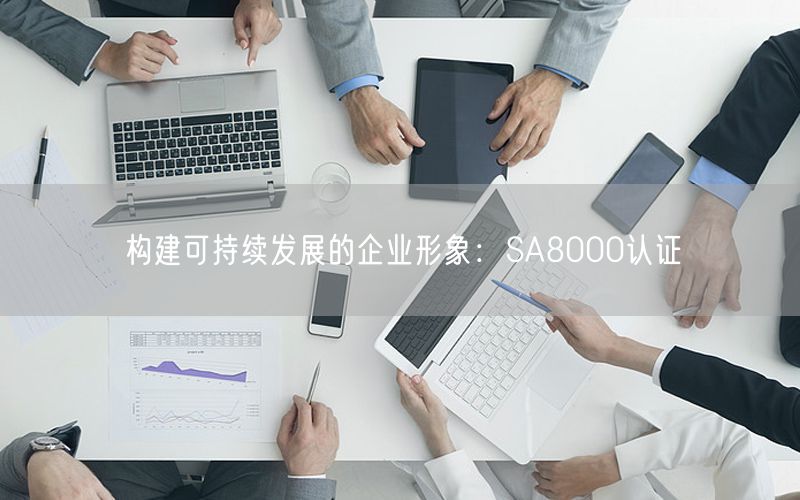 构建可持续发展的企业形象：SA8000认证(0)